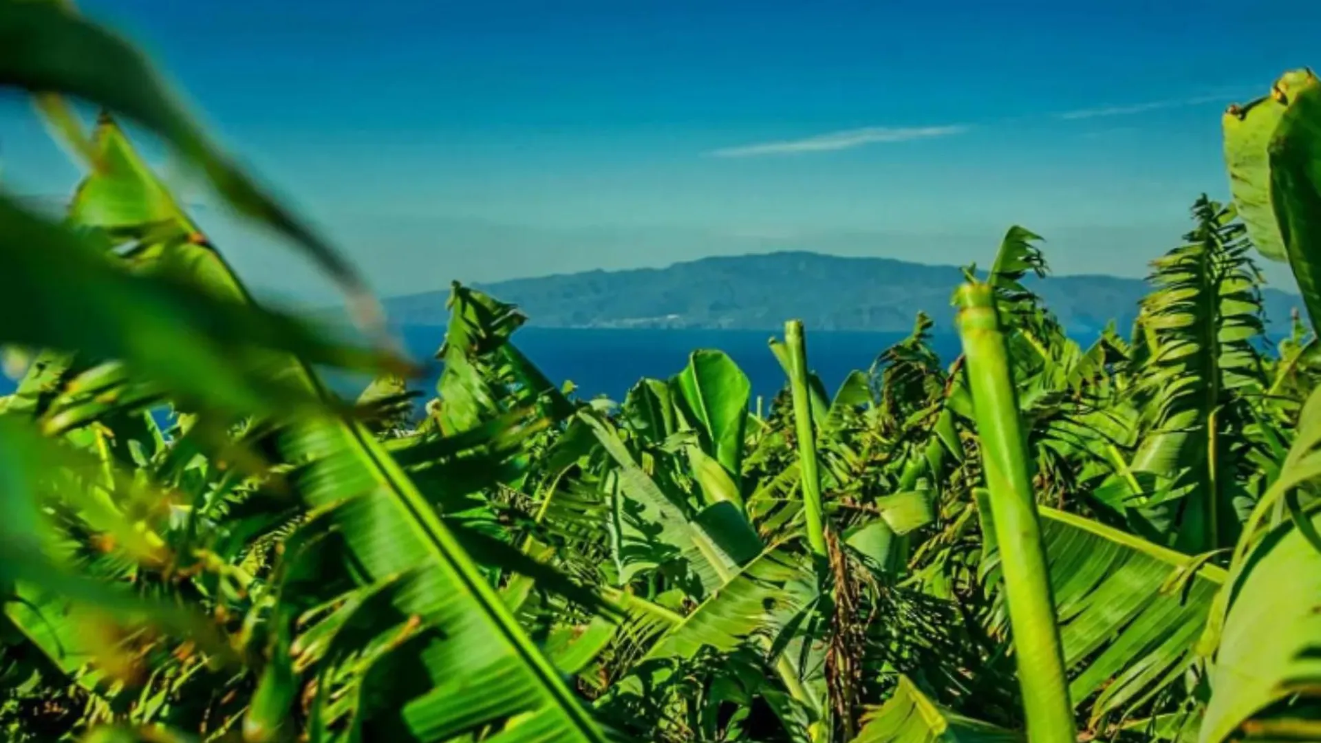 Nyaraló La Atalaya Villa Costa Adeje